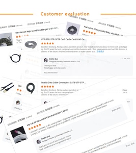 0.5m 1m 2m <span class=keywords><strong>3m</strong></span> PVC LSZH cordon de raccordement câble Cat6a SFTP STTP câble de Communication avec <span class=keywords><strong>4</strong></span> paires 26awg 28awg Cat 6a certifié - Product Image 5