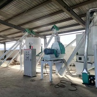 Usine complète de prémélange d'aliments pour animaux Poulet/Cochon/Poisson Moulin automatique Allemagne Ligne de production d'aliments pour volailles Poulet/Cochon Machine