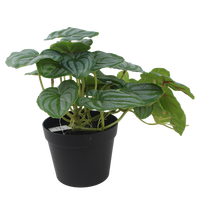 Senmasine 50cm Plantes artificielles vertes, fausses feuilles de pastèque pour la décoration de la maison, du bureau, de la table, des étagères et à suspendre
