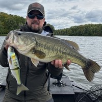 Jig à tête plombée en forme de poisson à queue en T