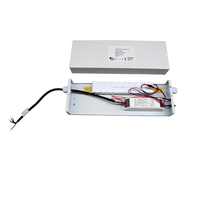 Module onduleur d'urgence LED Sanforce 12W avec batterie de secours rechargeable, entrée 220V, certifié CE pour luminaires