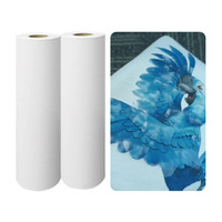 Film de transfert 3D PET haute clarté 30 cm et 60 cm pour imprimante DTF, rouleau de transfert thermique pour impression personnalisée de vêtements et t-shirts