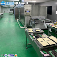 KHFT Nieuwe Automatische IQF Tunnelvriezer voor diepvriesproducten, industriële snelvriesmachine met concurrerende prijs en energiebesparing