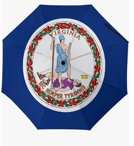 Parapluie compact avec drapeau du Dakota du Sud, résistant au vent, de haute qualité, parapluie de voyage, ouverture et fermeture automatiques, grands parapluies pour la pluie - Product Image 6