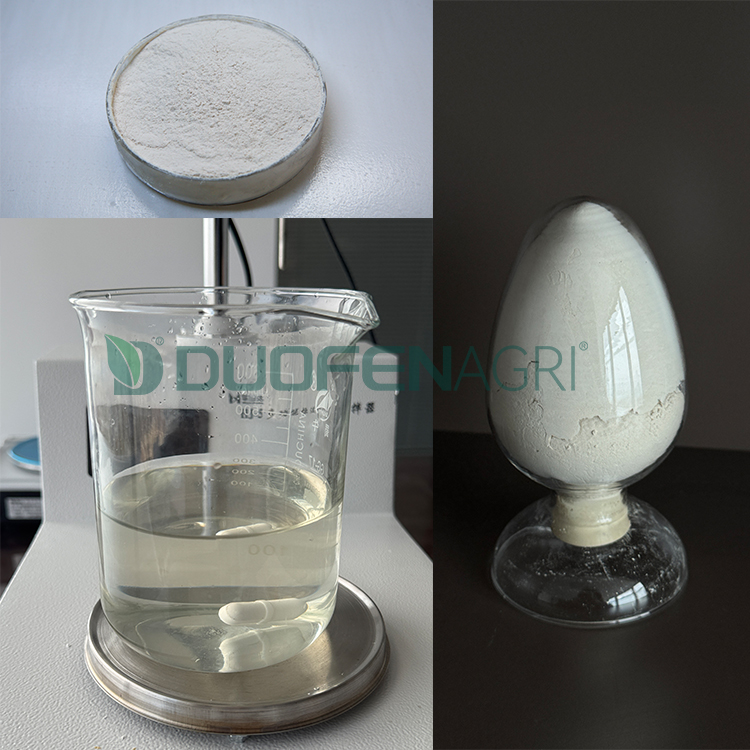 Wholesale Seaweed Extract Powder 50% Polyphenol Fertilizer image 4