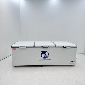 Congélateur coffre à basse température 1000 litres pour thon, saumon et poissons de haute mer - Product Image 3