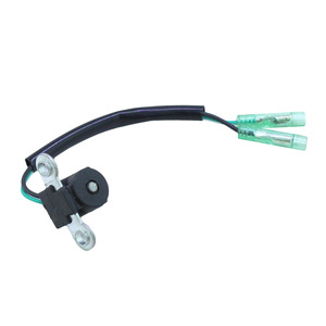 Bobine de démarreur pour moteur hors-bord Yamaha 66M-85580-00 pour moteur à essence 4 temps de 9,9 à 15 CV, pièce de rechange - Product Image 1