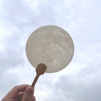 Éventail de Danse pour Mariage, Réunion, Festival de la Mi-Automne, Cadeau de Style Chinois, Éventail de Lune Translucide Imprimé en 3D Créatif