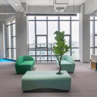 Ensemble de canapés sectionnels incurvés modernes avec structure en bois massif, écologiques, pour la maison, le bureau, le salon, l'appartement, l'hôtel, utilisation commerciale