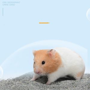 All'ingrosso rinfrescante sterilizzazione deodorizzazione sicuro pulizia criceto sabbia senza polvere criceto bagno di sabbia naturale sabbia - Product Image 4