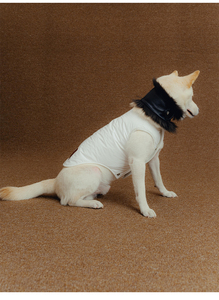 <span class=keywords><strong>2025</strong></span> Thiết Kế Con Chó Quần Áo Phụ Kiện Pet Quần Áo Quấn Khăn Ấm Áp Cho Chó Lông Và Da Tích Hợp - Product Image 6