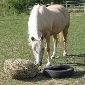 الحيوانات الأليفة بطيئة تغذية القش صافي 4x3 مع 1.5 عام 100% البوليستر مربع الحصان تغذية الأعلاف حزامة الدريس التفاف صافي - Product Image 3