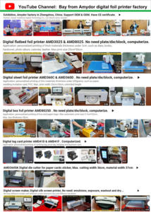 Imprimante numérique à plat Amydor Amd8025 pour l'impression à chaud sur les sacs en papier / le cuir / les couvertures de thèses - Product Image 5