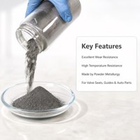 Poudre d'alliage de cobalt A60S résistante à la chaleur et à l'abrasion pour inserts de soupape, guides de soupape, pièces automobiles