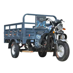 Tricycle à trois roues, moto-tricycle, <span class=keywords><strong>camion</strong></span> de <span class=keywords><strong>transport</strong></span> agricole, à essence, à carrosserie ouverte, certifié CEE - Product Image 5