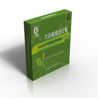 Le fabricant fournit directement des patchs de thérapie d'acupuncture de classe II pour plusieurs zones, fabriqués en Chine.