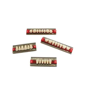 Dentadura de resina sintética, juego de dientes de acrílico sintético, 2 capas, 3 capas, A1, A2, A3.5