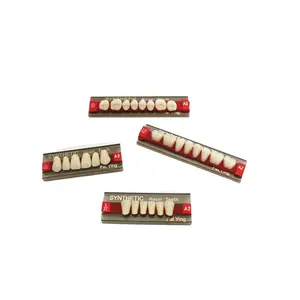 Conjunto de dentes de resina sintética, conjunto de 2 camadas com 3 dentes em resina sintética a1 a2 a3.5