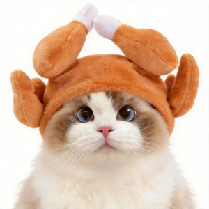 <b>Cat</b> hat, headband, small accessories, funny chicken leg, cute <b>cat</b> <b>clothes</b>, rabbit winter dog pet hat - Product Image 1
