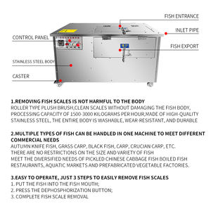 Máquina Elétrica Automática para Remoção de Escamas de Peixe, Máquina de Escamas para Processamento de Tilápia - Product Image 3