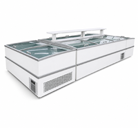 Congelador Comercial Combinado de Una Sola Temperatura, Usado, Directo de Fábrica, con Control Digital de Temperatura, Gran Capacidad y Pantalla