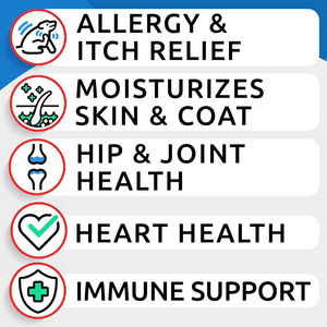 Jeuk Allergie Relief Honden Behandelt Zachte Kauwsnacks Met Lecithine Zalmolie Omega 3 6 Immuunhuid Jas Heupgewricht Gezondheid Huisdier Supplementen - Product Image 4