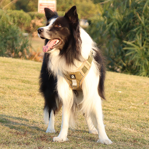 OEM Harnais de poitrine pour chien en maille souple réglable écologique personnalisé Harnais réfléchissant respirant sans traction Moyen Grand Taille Animaux de compagnie - Product Image 6