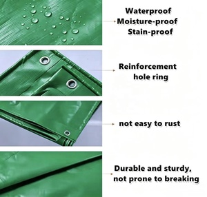 Nouveauté Film de <span class=keywords><strong>paillage</strong></span> agricole de la marque XUDA, anti-UV, en polyéthylène PE, couleur <span class=keywords><strong>verte</strong></span>, super résistant - Product Image 5