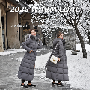 Manteau d'hiver épais pour femme 2026, long et chaud, avec capuche, fermeture éclair, style doudoune, rembourrage en coton, doublure en polyester - Product Image 2