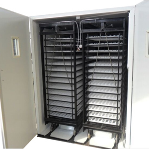 Máy Ấp Trứng Cỡ Lớn 20000 Trứng, Máy Ấp Trứng Máy Ấp Trứng Công Suất Lớn - Product Image 5