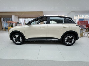 Geely Star Wish EX2 EV Auto Elettrica Nuovi Veicoli Pronti all'Uso con Ruota di Scorta e Attrezzi Inclusi Supporto Post-Vendita Online Rapido - Product Image 4