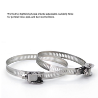 Collier de serrage rapide en acier inoxydable à visser pour tuyau d'air