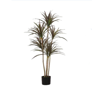 Vente en gros de bonsaïs artificiels, plantes de taro et de noix de coco-Décoration verte d'intérieur - Product Image 4