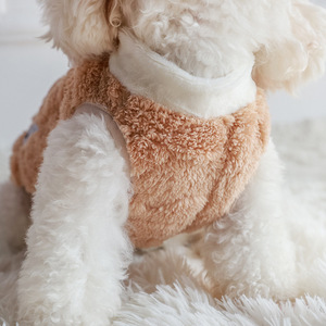 Vêtements pour chiens de petite et moyenne taille, en coton et <span class=keywords><strong>laine</strong></span>, style Teddy Bear, dessin animé, pour l'automne et l'hiver, directement de l'usine, Zhejiang - Product Image 3