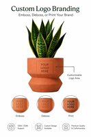 Pot Bunga Geometris dari Semen Terrazzo, Tahan UV, Tahan Beku, Wadah Tanaman Dekoratif