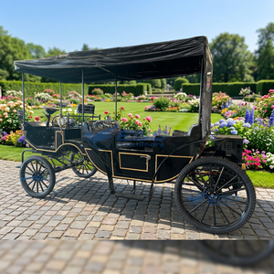 Calèche royale électrique de haute qualité, style Princesse Citrouille, simple, double fonction, pour la visite touristique et les mariages, traînée par des chevaux - Product Image 1
