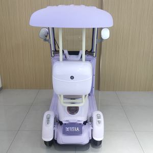 Стильный новый модный трехколесный полузакрытый Электрический трехколесный велосипед для семейных поездок - Product Image 6