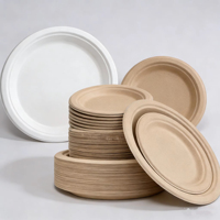 Assiettes jetables en bagasse végétale de qualité commerciale, biodégradables, empilables, pour la restauration et les événements