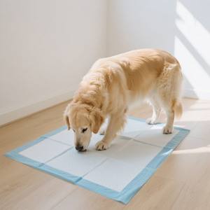 Venta al por mayor almohadillas de entrenamiento para cachorros a prueba de fugas pañales de 5 capas para perros y cachorros suave transpirable Underpad con absorción a prueba de fugas - Product Image 5