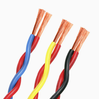 Câbles électriques en cuivre à 2 conducteurs, paire torsadée RVS, câble flexible isolé en PVC, 0,5-6 mm, utilisation pour alarme/résistance au feu, construction