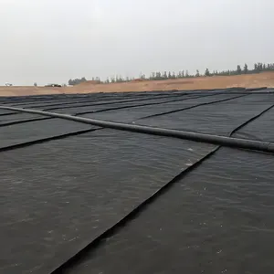 Black Drainage Layer Pet Woven Permeable Membrane Fabric Nonwoven Geotextile Filter Fabric Pp