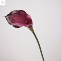 Lys Calla Artificiel Haut de Gamme 55CM en Plastique Souple Blanc Bourgogne, Réaliste au Toucher, Écologique pour Mariage