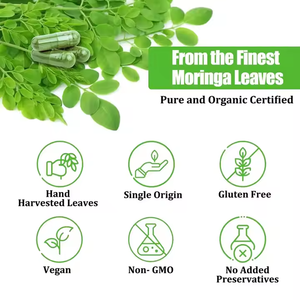 Oem Private Label <span class=keywords><strong>Moringa</strong></span> Oleifera <span class=keywords><strong>Capsules</strong></span> Immuunondersteuning <span class=keywords><strong>Moringa</strong></span> Leaf Extract Poeder Volwassen - Product Image 5