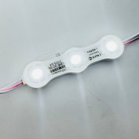 Module LED extérieur IP68 DC12V 24V 1.5w 69*15MM SMD 2835 3LEDs Lumière blanche froide Boîte d'injection de lumière LED pour enseignes publicitaires