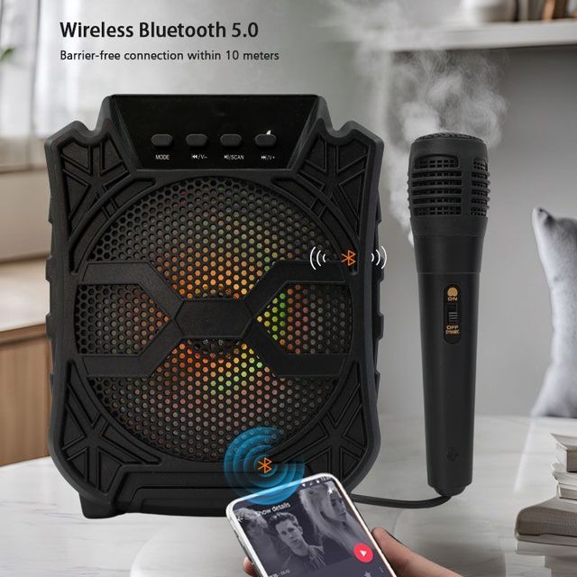 New Style Good Quality 6.5 Inch Cheap Portable RGB Lights Home Karaoke Party Portable Speaker