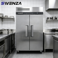 Congélateur vertical professionnel Swenza à double porte en acier inoxydable grande capacité pour restaurant, usage intensif
