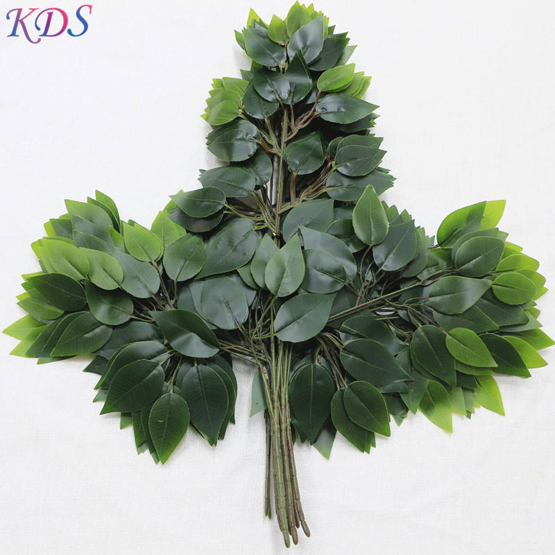 big banyantree tree leaves