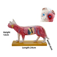 Modèle d'anatomie animale pour acupuncture : Chat, Vache, Cheval, Chien, Porc - Modèle d'anatomie du squelette animal pour la science médicale