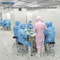 Écouvillon stérile pour salle blanche WIPESTAR Gamma, certifié ISO13485, jetable, sans fibres, pour le nettoyage des laboratoires pharmaceutiques