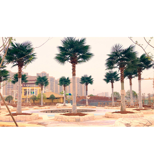 Venta al por mayor Gran Decoración Planta Artificial árbol de <span class=keywords><strong>palma</strong></span> para <span class=keywords><strong>Centro</strong></span> <span class=keywords><strong>Comercial</strong></span> - Product Image 4